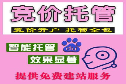 SEM代运营托管公司案例：实战技巧